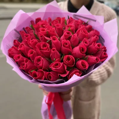Малиновые Розы 25 шт. купить с доставкой в Москве. Цена от 3500 ₽