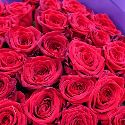 Букет из 51 розы \"Красные розы\" – купить недорого с доставкой по Москве