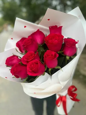Букет из 51 малиновой розы 40 см (Кения) купить в СПб в интернет-магазине  Семицветик✿