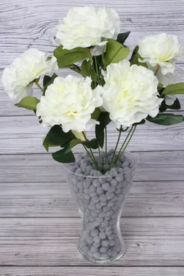 Меллоу Мальва Большие, вьющиеся цветы Белые цветы Стоковое Изображение -  изображение насчитывающей подарок, ботаническую: 164421075