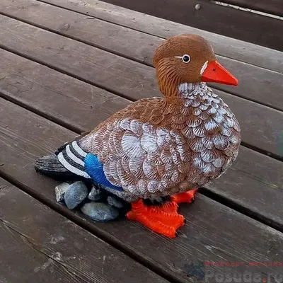 Картинки Утки птица Мандаринка Животные