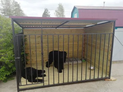 Манеж для собак складной, модульный вольер для щенков, металли...: цена  5750 грн - купить Товары для собак на ИЗИ | Украина