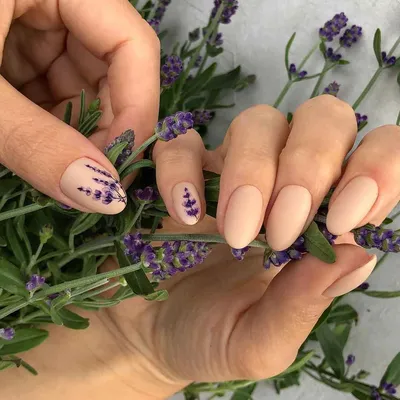 Маникюр с лавандой фото_58 | Manicura de uñas, Manicura flores, Manicura