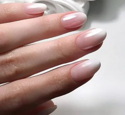 Статьи :: Прозрачный маникюр гель лаком и не только | Nails, Short pink  nails, Manicure