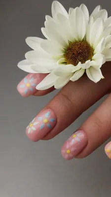 Подборка нежных цветочных дизайнов маникюра🌻 Маникюр с ромашками и  подсолнухами — новый тренд лета 2020🔝 Вдохновляйся и приходи к нам за… |  Instagram