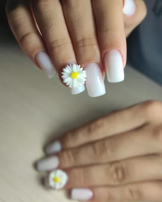 дизайн ногтей ромашка на бежевом фоне nail design with a picture of  chamomile | Маникюр с ромашками, Милые ногти, Волосы и ногти