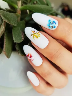 Наклейка для ногтей с изображением летнего ветра и кактуса | AliExpress