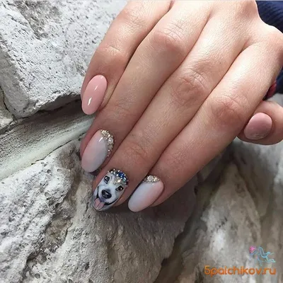 Маникюр с собакой на ногтях (ФОТО) - trendymode.ru