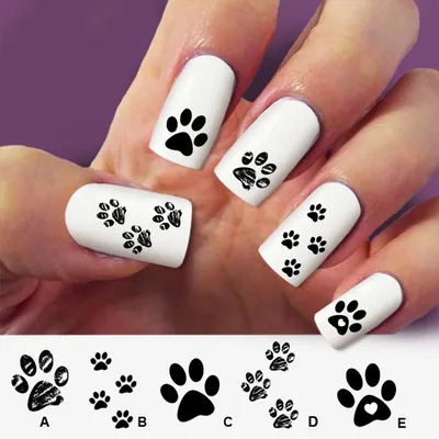 Маникюр с рисунком собаки на ногтях (49 фото)