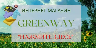 Что такое Greenway, его преимущества и будущее для России |  Умнеем-На-Глазах | Дзен