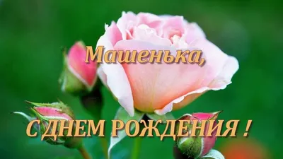 С днём рождения, Маша! - БлогНадежда Черпинская