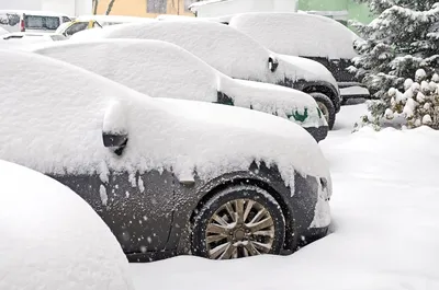 Истинное волшебство зимы: автомобили под снеговыми сказками