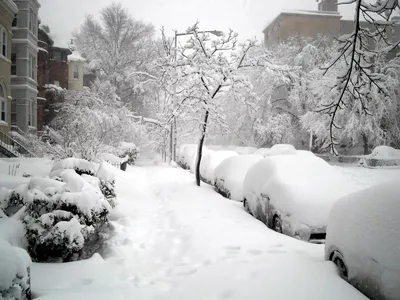 Волшебные зимние истории: машины под белым накидом снега