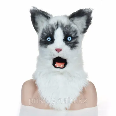 Кошачья маска: фото, картинки, изображения, png, jpg, скачать бесплатно