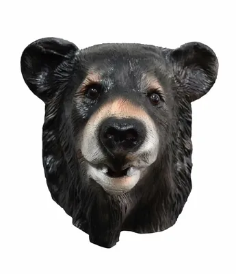 Маска медведя фотографии