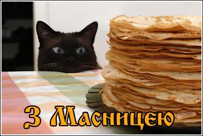 Масленица!!!!!!!