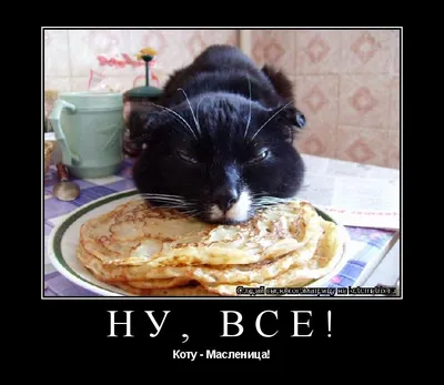 Широкая масленица Узкая масленица / блины :: масленица / смешные картинки и  другие приколы: комиксы, гиф анимация, видео, лучший интеллектуальный юмор.