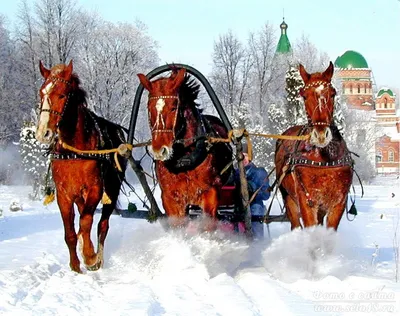 Масленица в язычестве - 77 фото