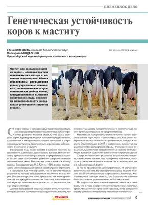 Симментальская порода коров: условия и перспективы разведения - apkmedia.ru
