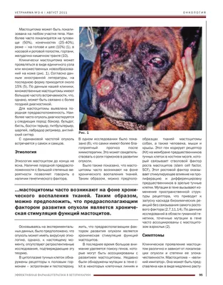 Рак груди у собак: лечение в ветеринарной клинике Живаго в Омске