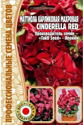 Маттиола Cinderella Red карликовая махровая 5 шт. купить оптом в Томске по  цене 24,29 руб.
