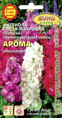 Маттиола Арома седая махровая (левкой) купить в Москве в интернет-магазине  Семена цветов