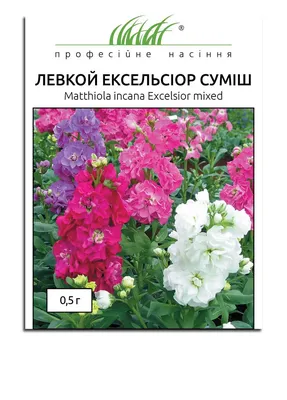 Левкой (маттиола махровая) Эксельсиор смесь, 0,5 г Професійне насіння  комбинированная ‣ Купить в интернет-магазине Каста ‣ Киев, Одесса, Харьков  ‣ Доставка по всей Украине! (#18175337)