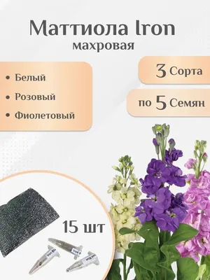 Маттиола карликовая махровая CINDERELLA HOT PINK ( 1 УП: 5 семян ) — купить  в интернет-магазине по низкой цене на Яндекс Маркете