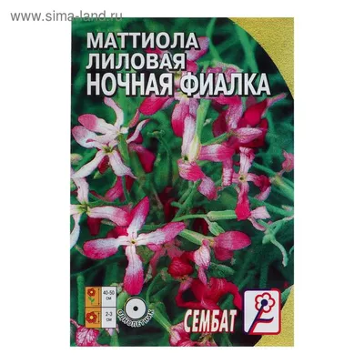 Маттиола Ночная фиалка, купить саженцы Маттиолы Ночная фиалка в Москве в  питомнике недорого!