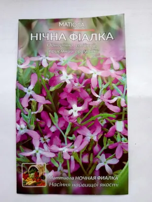 Семена цветов Маттиола ночная фиалка 5 грамм: продажа, цена в Одессе.  Семена и клубни трав и цветов от \"Інтернет-магазин \"Optotorg.com\"\" -  1323453637