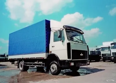 Маз Зубренок 4371P2 грузовик бортовой с тентом 34,5 м3 б.у. продажа