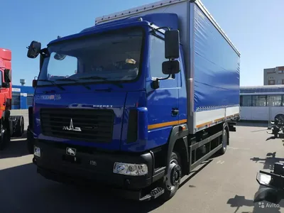 Купить б/у МАЗ 4370 дизель механика в Боровичах: золотистый бортовой  грузовик 2001 года на Авто.ру ID 1121878996