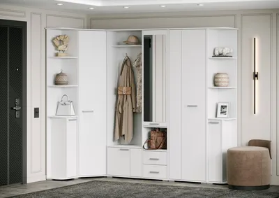 Современная мебель в прихожую – шкаф с распашными дверьми Бойон, МДФ эмаль,  Арт.849