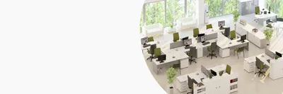 Цвет венге для офисной мебели - наколько актуален, для каких офисов  подходит - Офисная Мебель