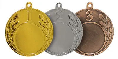 Медаль призовая 1 место 45 мм арт. 224093 - купить в Москве оптом и в  розницу в интернет-магазине Deloks