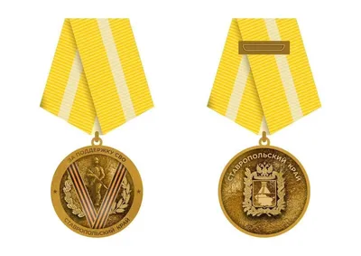 Ставропольцы определили дизайн краевой медали «За поддержку СВО» :: 1777.Ru