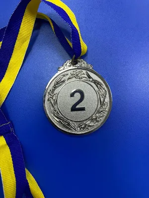 Медаль наградная серебро 2 место тип 1 с лентой (ID#1822009176), цена: 40  ₴, купить на Prom.ua