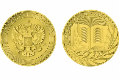 Файл:Медаль «Главный маршал артиллерии Неделин».png — Википедия