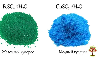 Средство защитное Медный купорос 50 гр купить в интернет-магазине Доминго