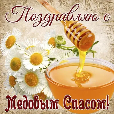 Медовый спас: 11 милых и замечательных открыток с поздравлениями - МК  Новосибирск