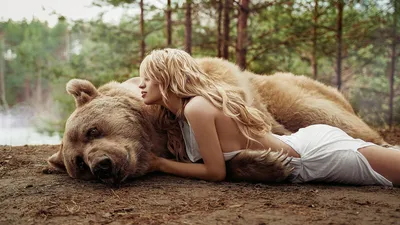 Фотографии медведей, полностью погруженных в вкус меда
