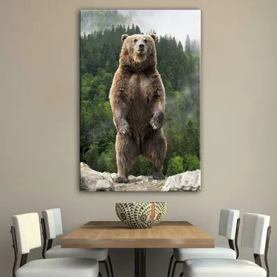 Медведь гризли - красота дикой природы на фотографиях