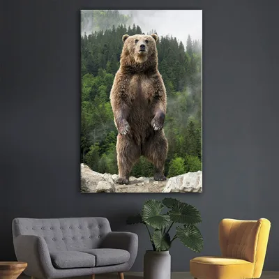 Фото медведя гризли - погрузитесь в мир дикой природы