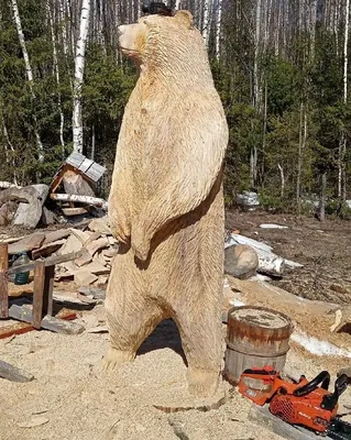 Удивительные изображения Медведей из дерева 