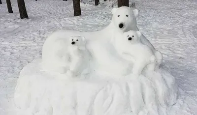 Искусство из снега: прекрасный медведь на вашем экране