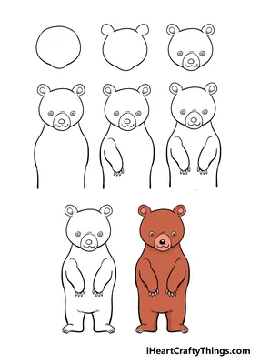 Медведь картинки рисунки фотографии