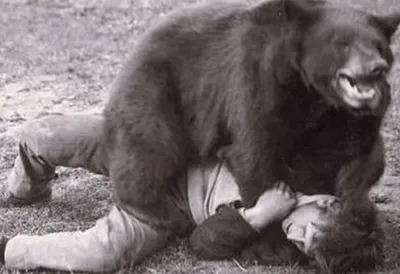 Ужас в лесу: Медведь напал и съел человека