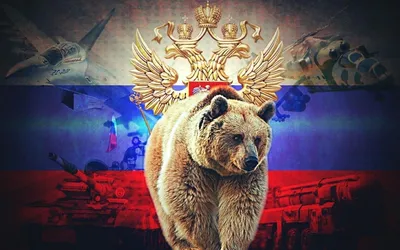 Медведь Символ России Картинки фотографии