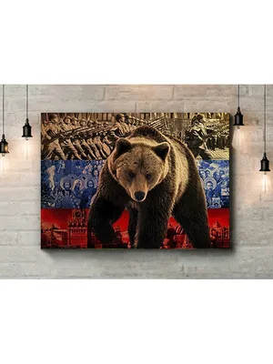 Почему Медведь — символ России в глазах иностранцев | 05.03.2023 | Новости  Черкесска - БезФормата