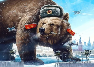 Россияне раскрыли свое отношение к медведю как символу России — РБК